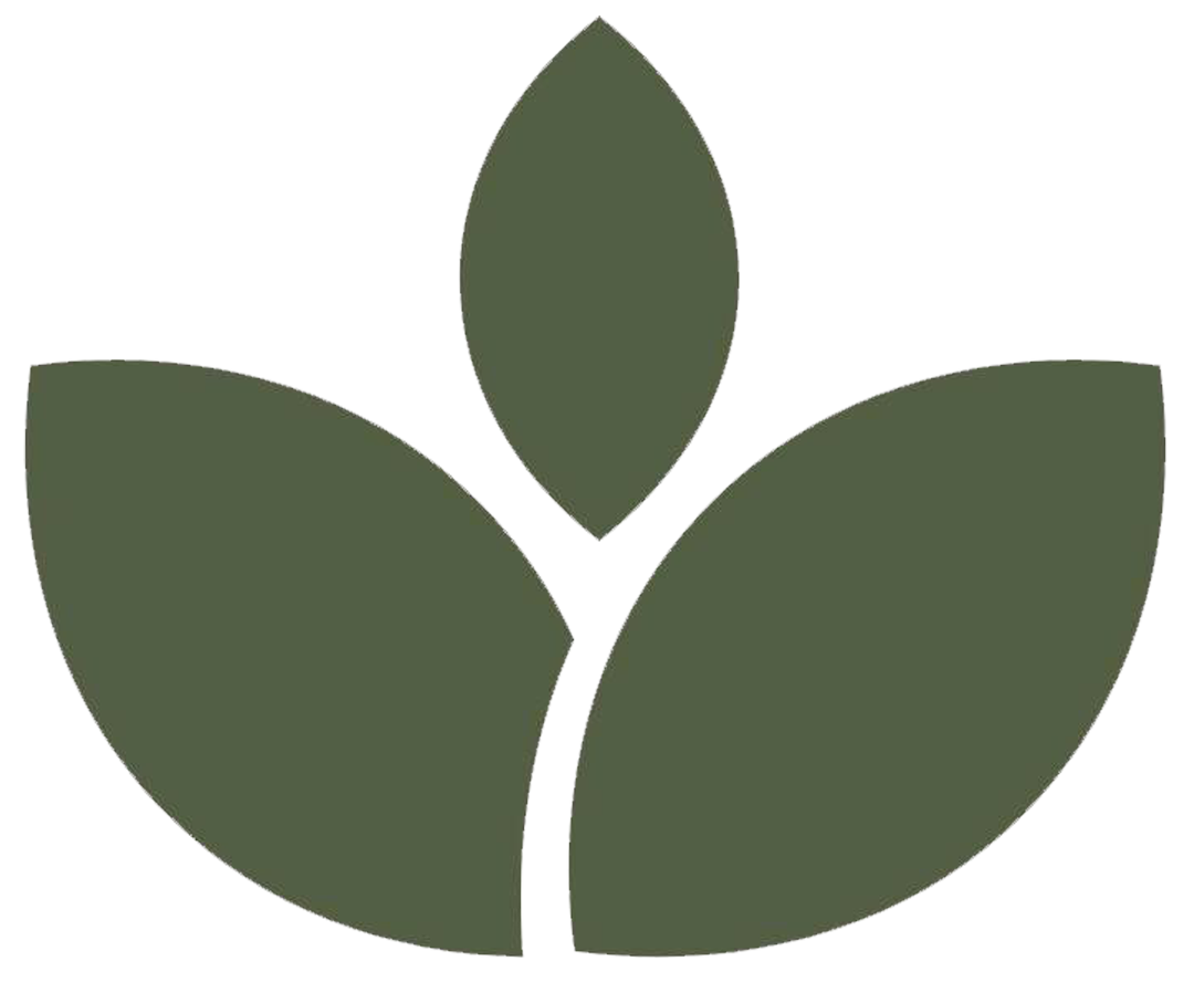 Aangan Aesthetics Logo